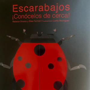 Escarabajos ¡Conócelos de cerca!